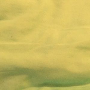 Meet your Posher, Lorelie